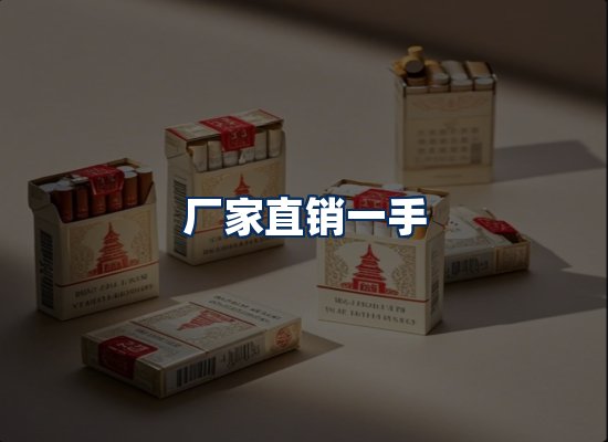 专业团队办公环境